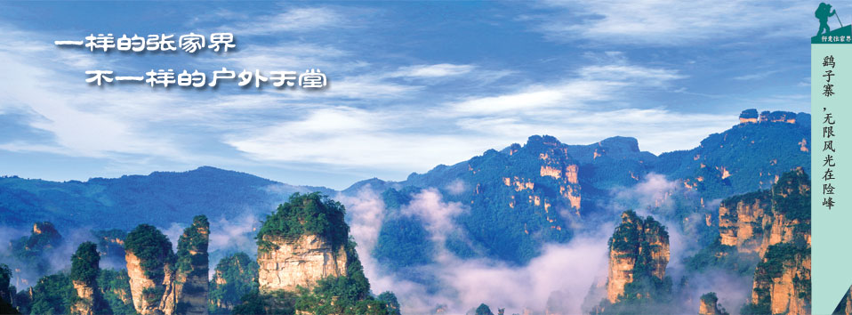 張家界國(guó)際鄉(xiāng)村音樂節(jié)宣傳圖片2