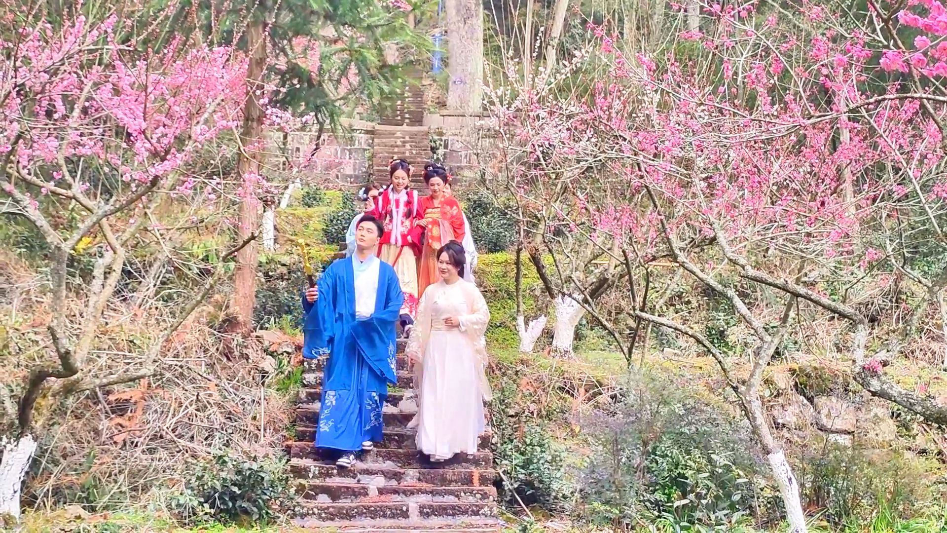 黃石寨梅花綻放 踏春賞花正當(dāng)時(shí)