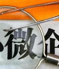 張家界市召開“個轉(zhuǎn)企、小升規(guī)”工作第二次調(diào)度會